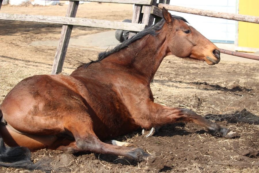 1ad665d4ba4fc2beb0dfd57083346181-1773581880.jpg 1ad665d4ba4fc2beb0dfd57083346181-1773581880.jpg