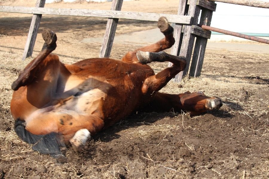 38365b3b13eaef3a6a0972b2c6d7543e-1773581885.jpg 38365b3b13eaef3a6a0972b2c6d7543e-1773581885.jpg