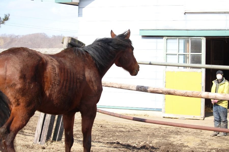 232f7ab90318281fa0c3af8bf0449d41-1773581891.jpg 232f7ab90318281fa0c3af8bf0449d41-1773581891.jpg