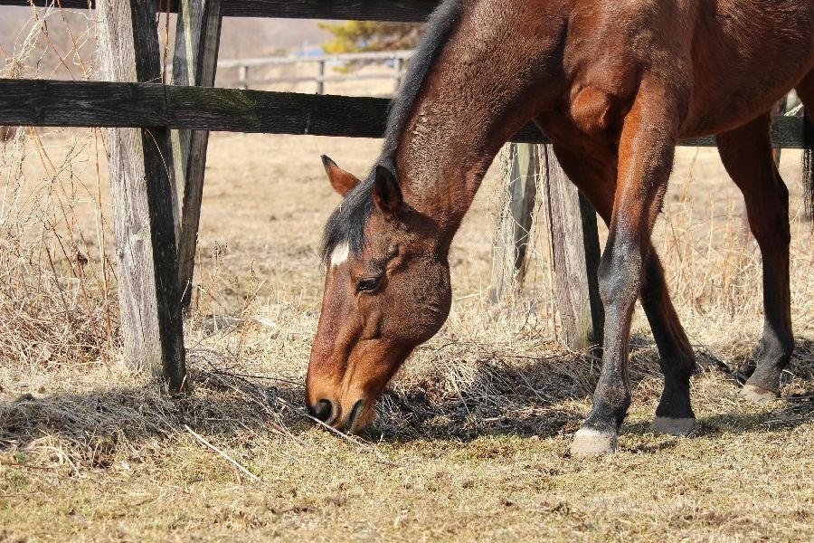 9af05be9c6a4bb5f571f8436b30f3158-1773581895.jpg 9af05be9c6a4bb5f571f8436b30f3158-1773581895.jpg