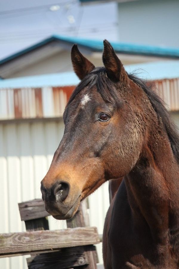 81e75a4973be1ee8511e622945ddcfb1-1773581728.jpg 81e75a4973be1ee8511e622945ddcfb1-1773581728.jpg