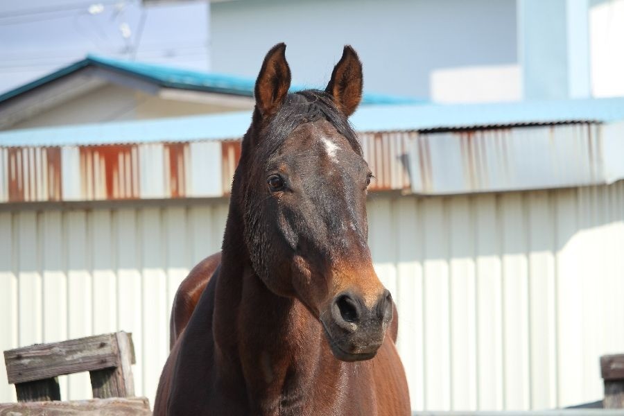 230dfd9e89fedd1e90023bc7c887b6f1-1773581733.jpg 230dfd9e89fedd1e90023bc7c887b6f1-1773581733.jpg