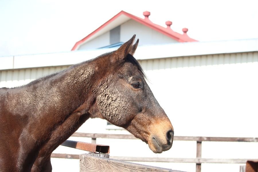 86941f93a77052116170a29042a4ab32-1773581740.jpg 86941f93a77052116170a29042a4ab32-1773581740.jpg