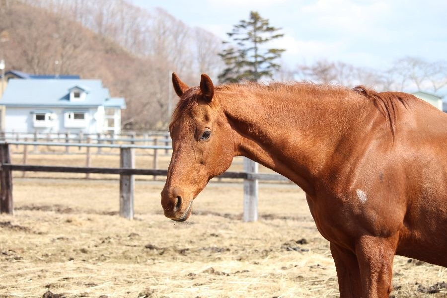 18dc4b94cbc620b5bbad7249a242c0e7-1773582319.jpg 18dc4b94cbc620b5bbad7249a242c0e7-1773582319.jpg