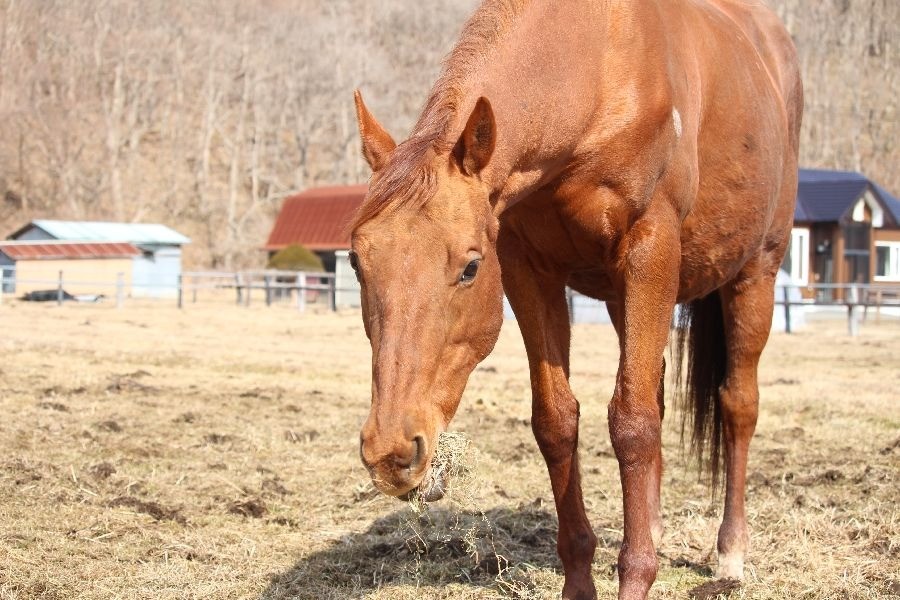 190891d9f470eb2dc684c7e742318e5b-1773582327.jpg 190891d9f470eb2dc684c7e742318e5b-1773582327.jpg