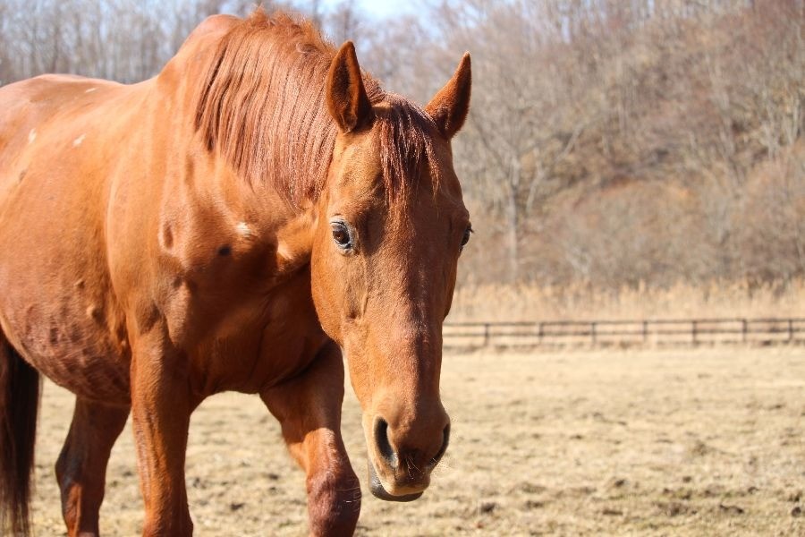 119bd02b827cd46eb21b7f1baa74f4ed-1773582338.jpg 119bd02b827cd46eb21b7f1baa74f4ed-1773582338.jpg