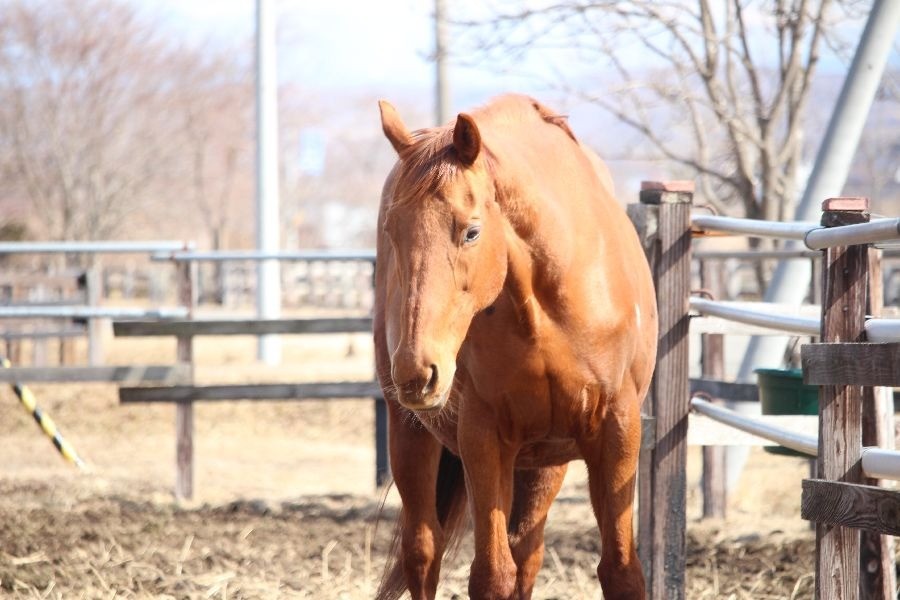 a9c87e1d6614e7232318930708939f09-1773582346.jpg a9c87e1d6614e7232318930708939f09-1773582346.jpg