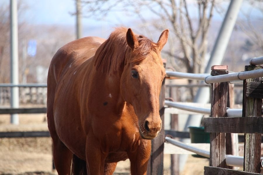 a0af9b5362e6328eec83042174ae43a4-1773582352.jpg a0af9b5362e6328eec83042174ae43a4-1773582352.jpg