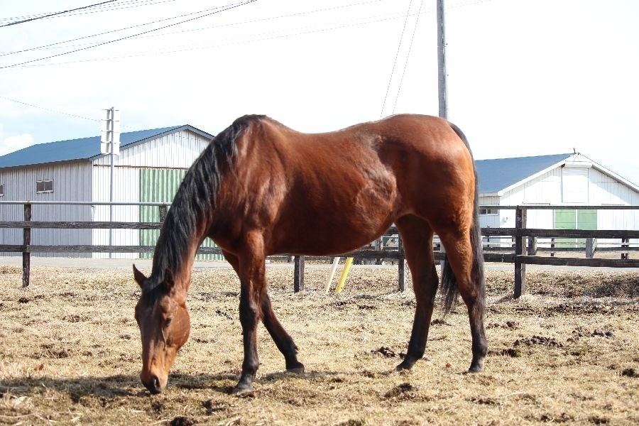 54e228c11064192b11c531d51948cdb8-1773582122.jpg 54e228c11064192b11c531d51948cdb8-1773582122.jpg