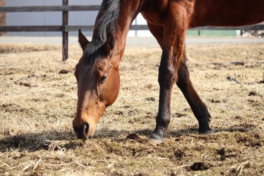 c79cdf33c2f237f06176d0623bbba164-1773582141.jpg c79cdf33c2f237f06176d0623bbba164-1773582141.jpg