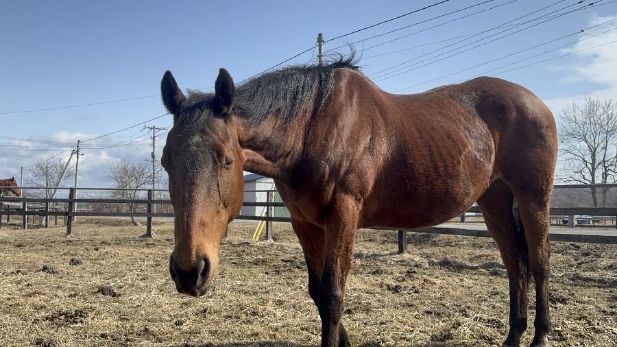 31e443d6691dff7db9d70fe6155de8bb-1773582152.jpg 31e443d6691dff7db9d70fe6155de8bb-1773582152.jpg