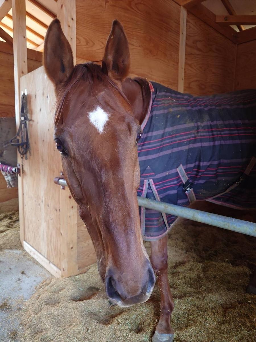 eb2f837e76a5bdf42beb80ce17521db7-1772616793.jpg eb2f837e76a5bdf42beb80ce17521db7-1772616793.jpg