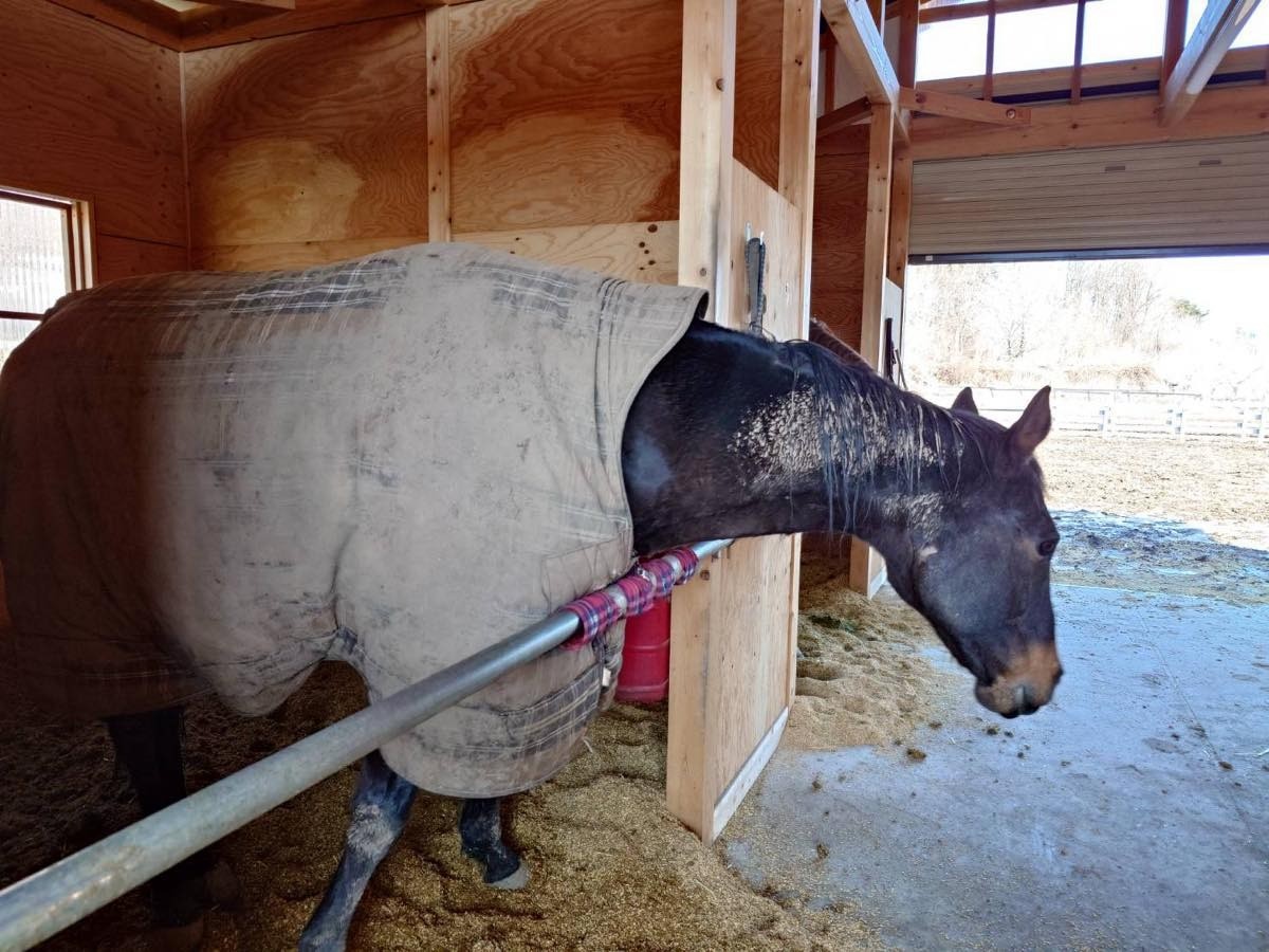 13aadc184662fe65b8ecc509b3bfe74c-1772616773.jpg 13aadc184662fe65b8ecc509b3bfe74c-1772616773.jpg