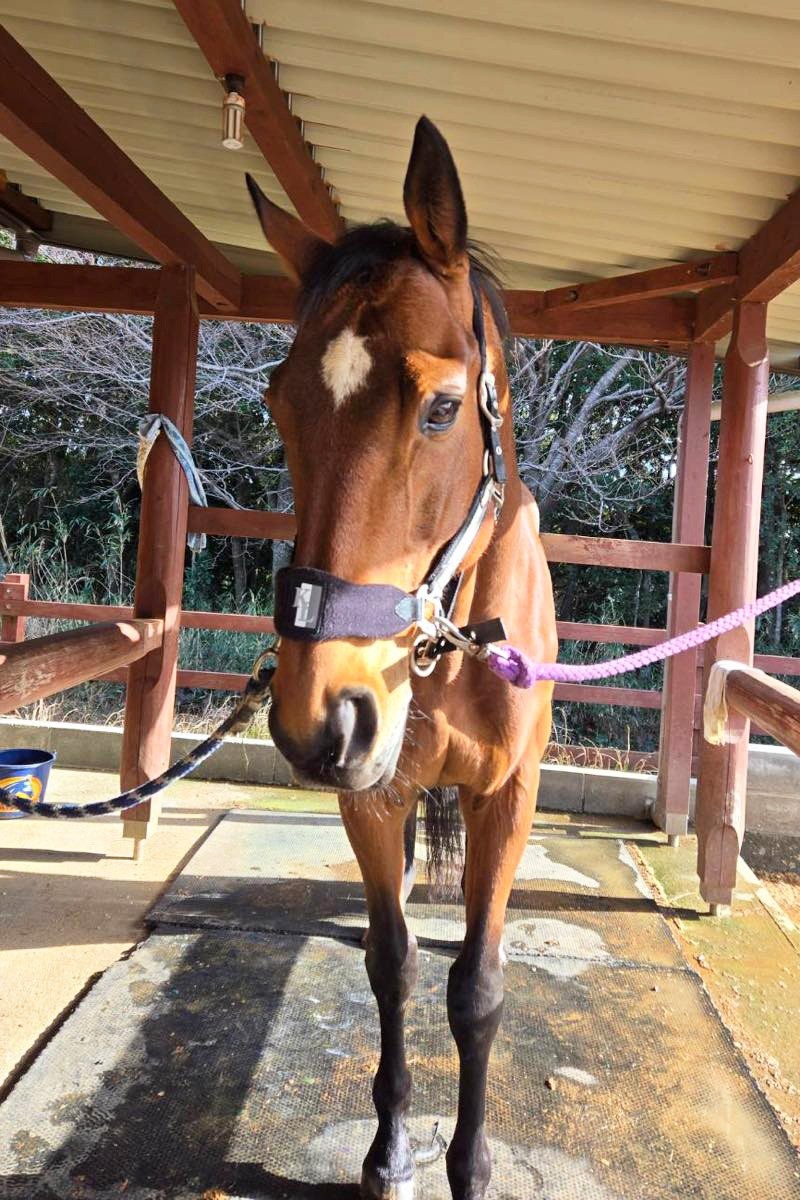 ac8c4b224892f8a20ce1125ceda24368-1774586505.jpg ac8c4b224892f8a20ce1125ceda24368-1774586505.jpg