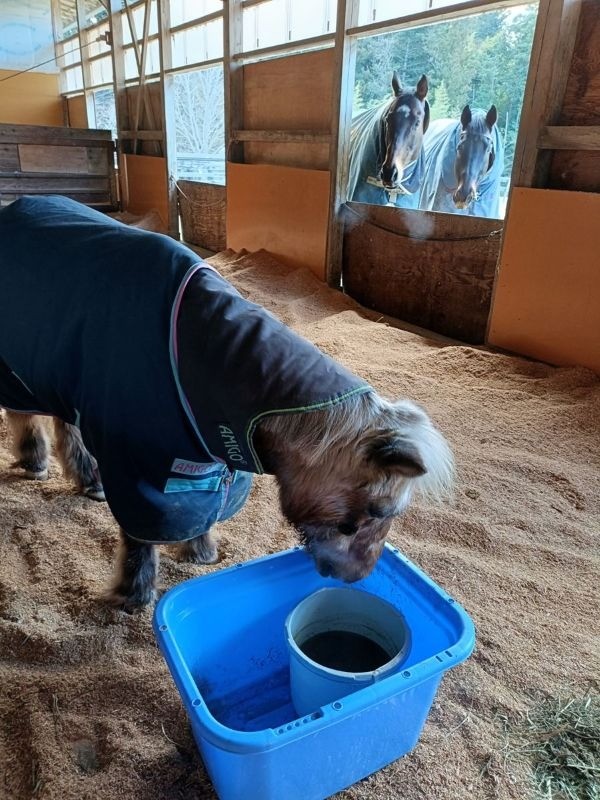 105cde98bf20888c90872871ba54db4b-1774446742.jpg 105cde98bf20888c90872871ba54db4b-1774446742.jpg