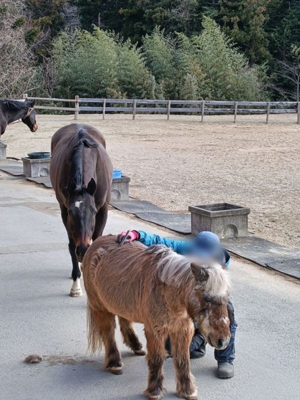 105cde98bf20888c90872871ba54db4b-1774447074.jpg 105cde98bf20888c90872871ba54db4b-1774447074.jpg