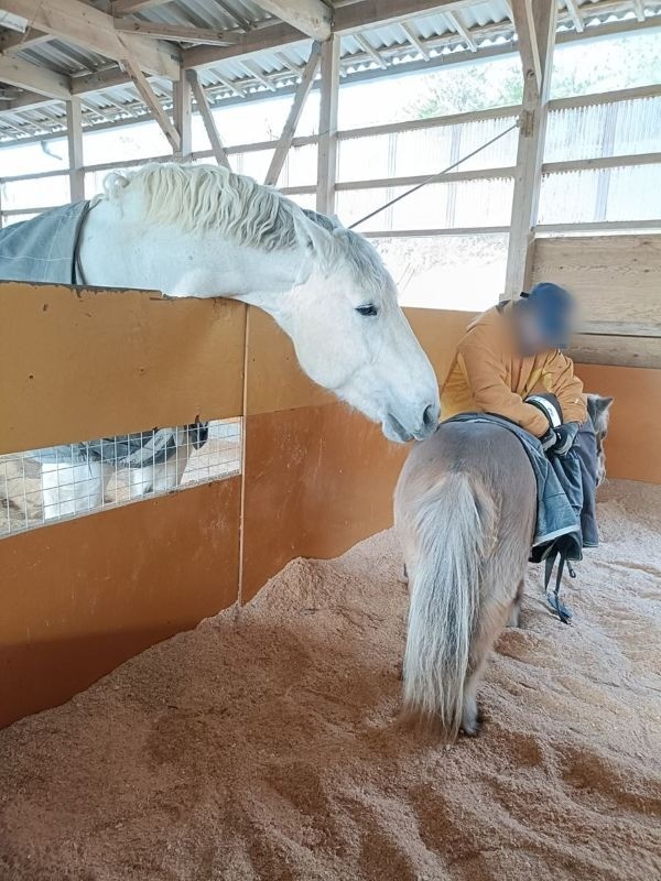 105cde98bf20888c90872871ba54db4b-1774438442.jpg 105cde98bf20888c90872871ba54db4b-1774438442.jpg