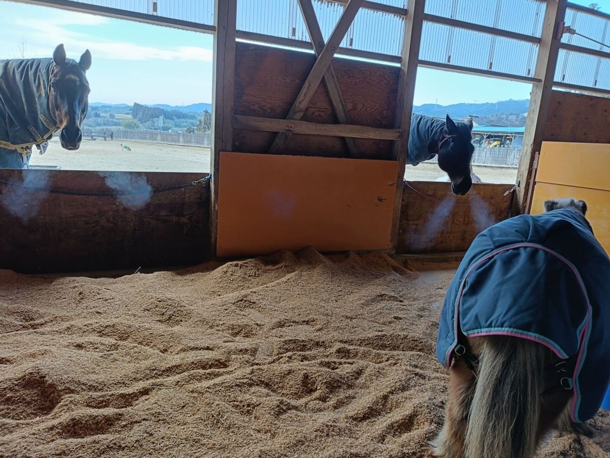 592572de9d30f77812b1ae37c31d9819-1774439785.jpg 592572de9d30f77812b1ae37c31d9819-1774439785.jpg