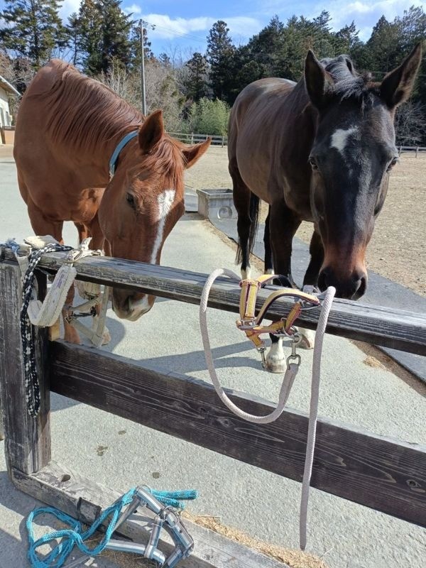 592572de9d30f77812b1ae37c31d9819-1774447098.jpg 592572de9d30f77812b1ae37c31d9819-1774447098.jpg