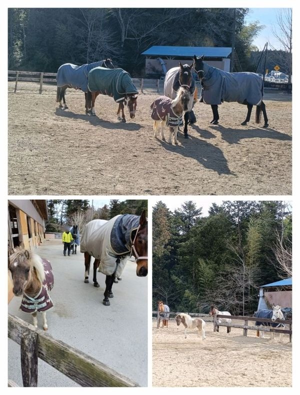 592572de9d30f77812b1ae37c31d9819-1774439297.jpg 592572de9d30f77812b1ae37c31d9819-1774439297.jpg