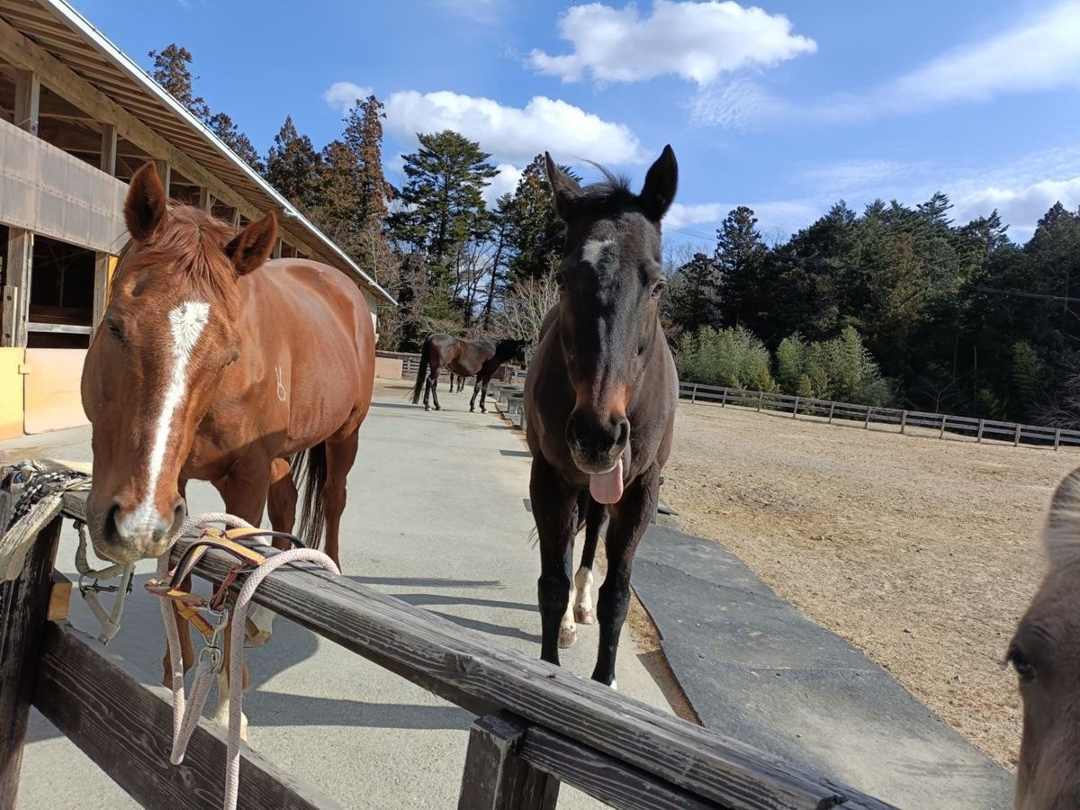 d7f5ff51180bfefea8f032a8defac7ac-1774442168.jpg d7f5ff51180bfefea8f032a8defac7ac-1774442168.jpg