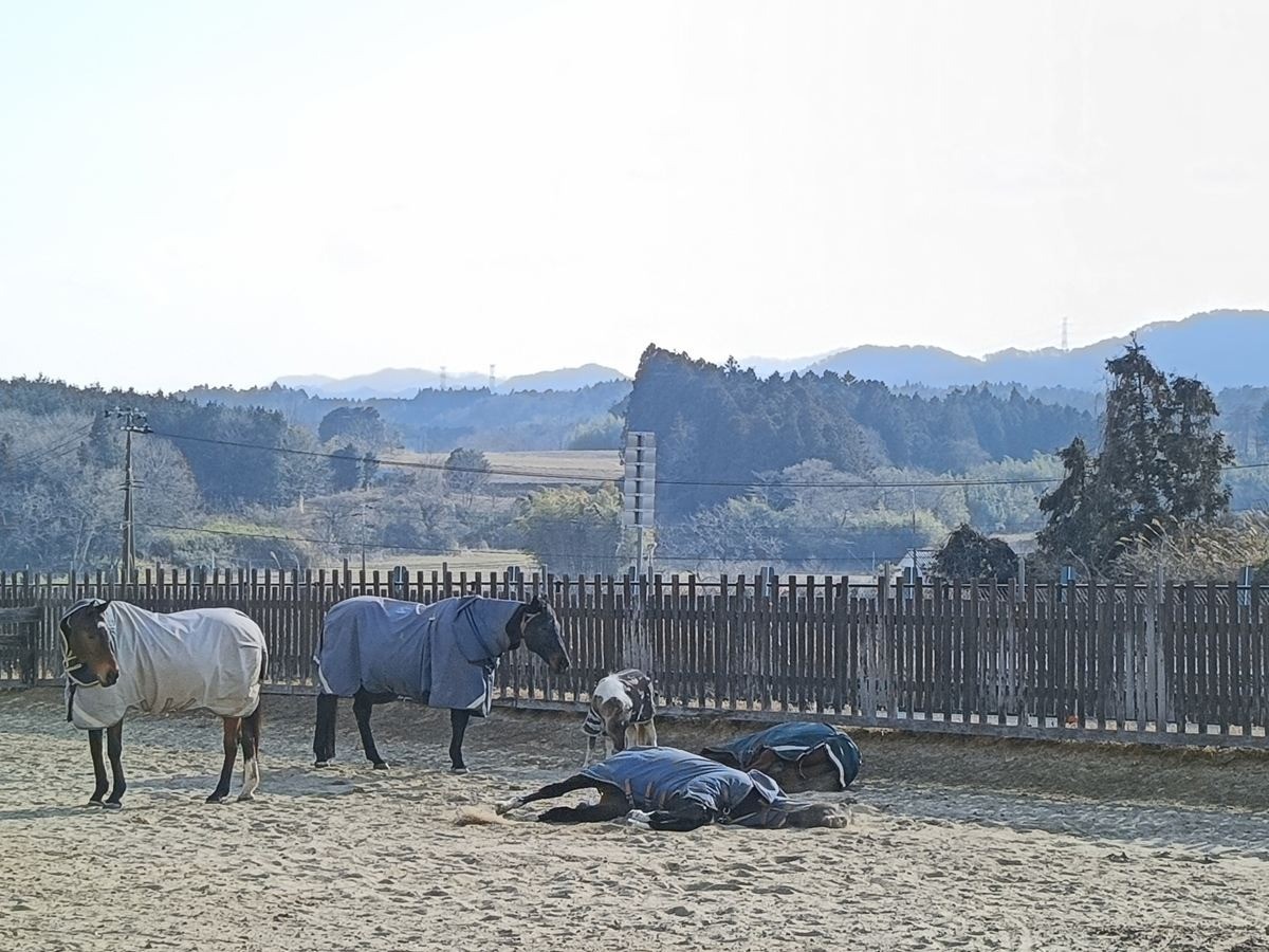 15cf7b11529566dc91f0a56399e39c64-1774442173.jpg 15cf7b11529566dc91f0a56399e39c64-1774442173.jpg