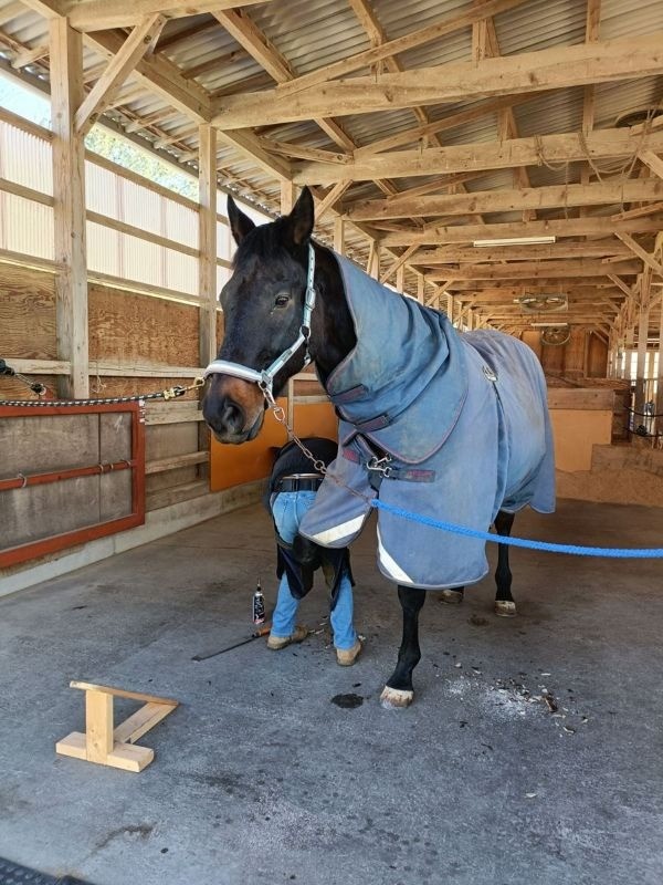 15cf7b11529566dc91f0a56399e39c64-1774446758.jpg 15cf7b11529566dc91f0a56399e39c64-1774446758.jpg