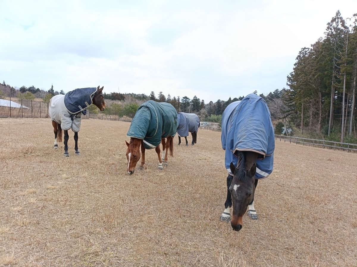 3273d3ba93330f7dd1cba45aa2e674f6-1774442177.jpg 3273d3ba93330f7dd1cba45aa2e674f6-1774442177.jpg