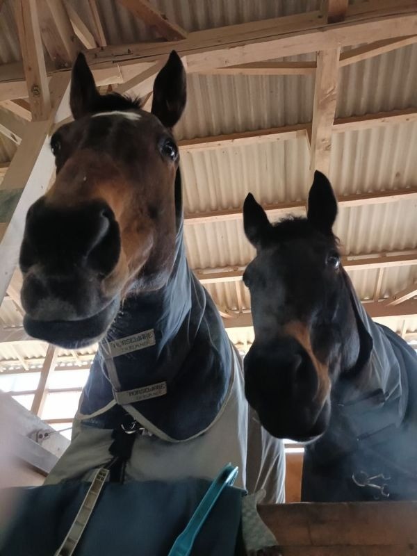 3273d3ba93330f7dd1cba45aa2e674f6-1774446780.jpg 3273d3ba93330f7dd1cba45aa2e674f6-1774446780.jpg