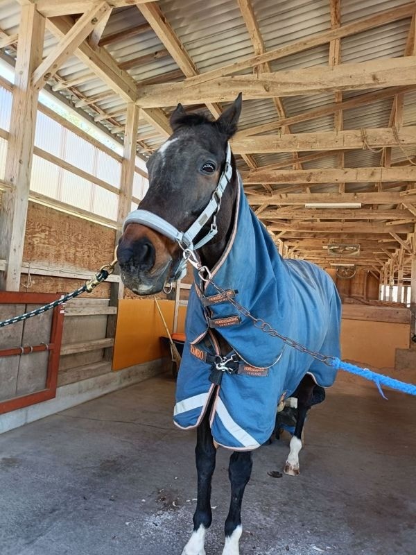 cb92c3b2c4f55915378b2ecd21c8580f-1774447169.jpg cb92c3b2c4f55915378b2ecd21c8580f-1774447169.jpg