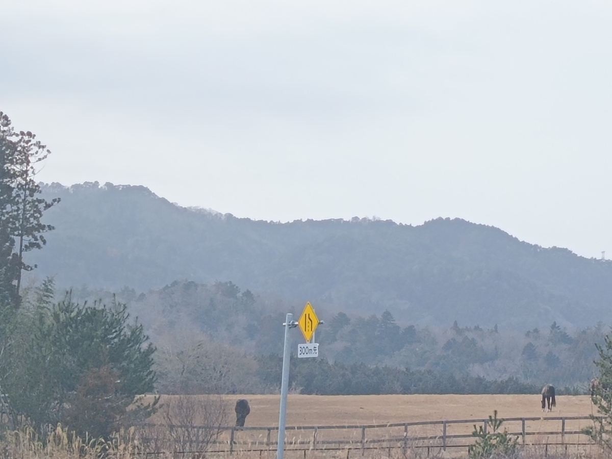 17e4f905252b05621ef14a3f71f276c4-1774442207.jpg 17e4f905252b05621ef14a3f71f276c4-1774442207.jpg