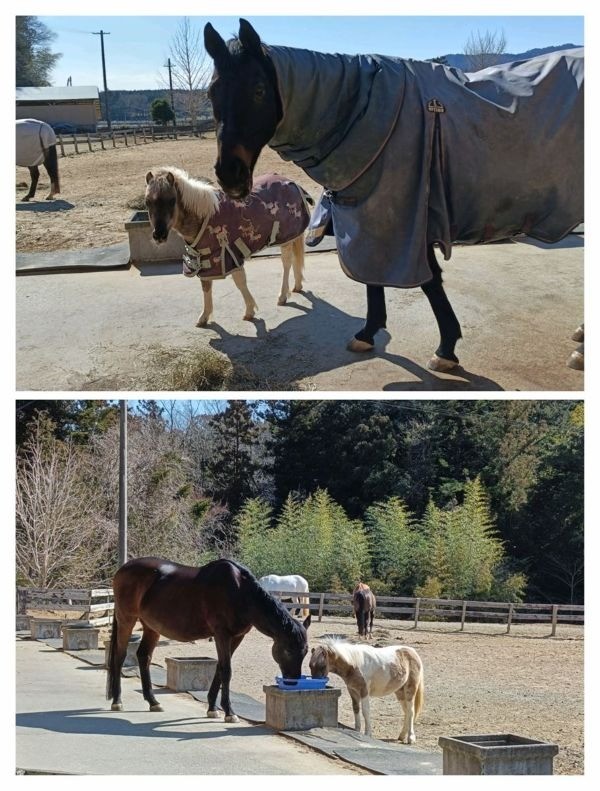 17e4f905252b05621ef14a3f71f276c4-1774446362.jpg 17e4f905252b05621ef14a3f71f276c4-1774446362.jpg