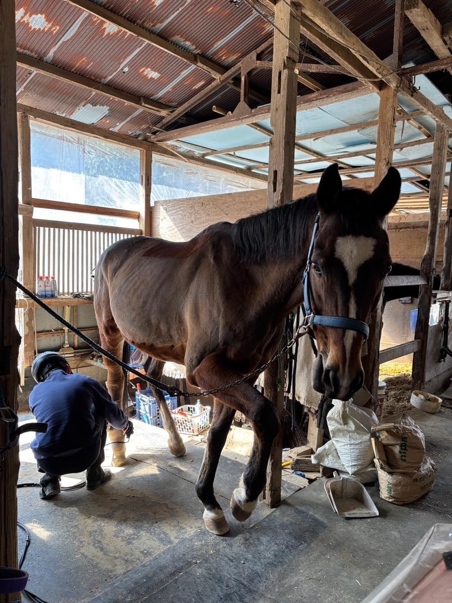 23aff55fef7a625a0154f007e567743a-1772346486.jpg 23aff55fef7a625a0154f007e567743a-1772346486.jpg