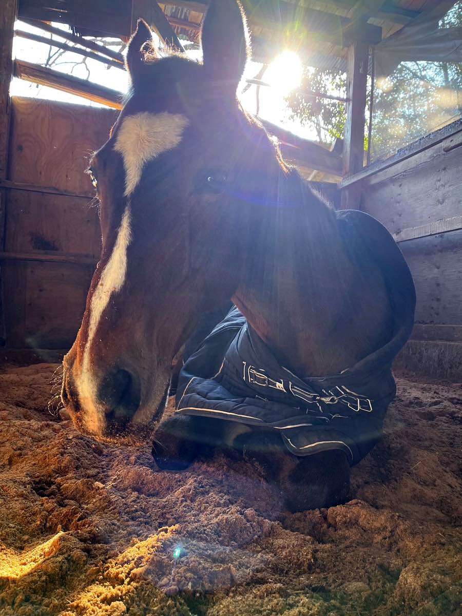 246b5bf247263e95e089be5341072e31-1772348116.jpg 246b5bf247263e95e089be5341072e31-1772348116.jpg