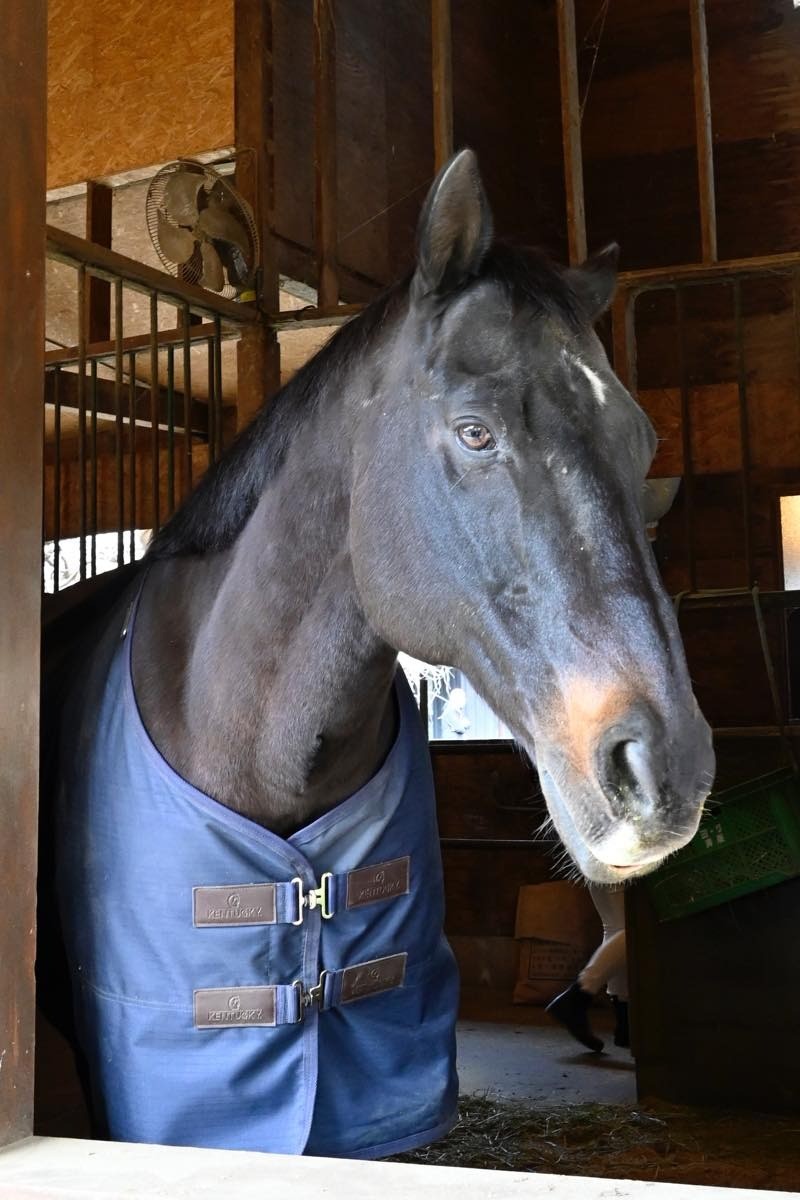 8735cbca28f920f82a33314c3fd0635b-1774696431.jpg 8735cbca28f920f82a33314c3fd0635b-1774696431.jpg