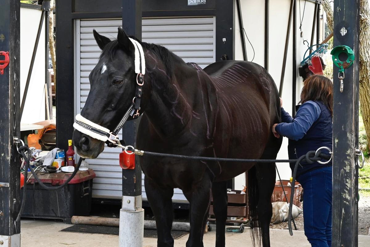 3a504301ffdfc15690757d28dd83507a-1774697407.jpg 3a504301ffdfc15690757d28dd83507a-1774697407.jpg