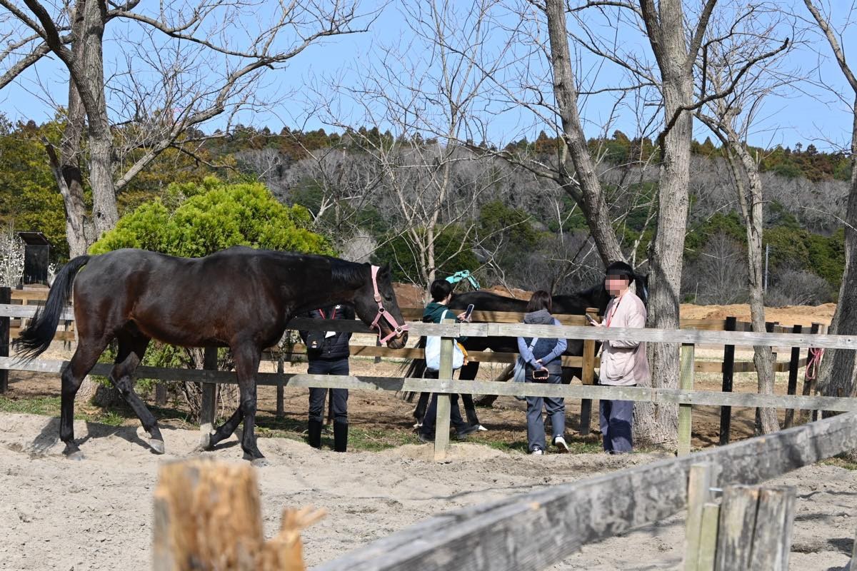 e1d7120dcc5c137e696f9528caac5023-1774755018.jpg e1d7120dcc5c137e696f9528caac5023-1774755018.jpg