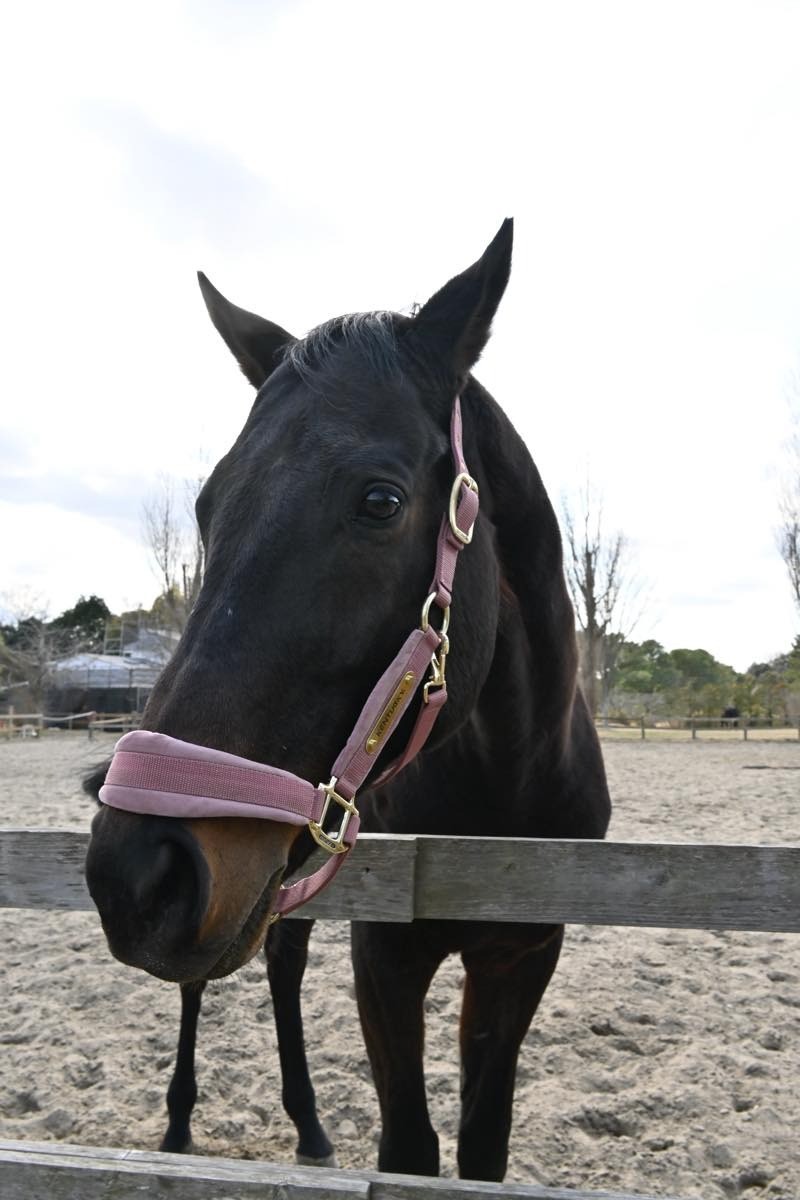 3f35177abd49efc522f5f1c6ec6c116a-1774706278.jpg 3f35177abd49efc522f5f1c6ec6c116a-1774706278.jpg