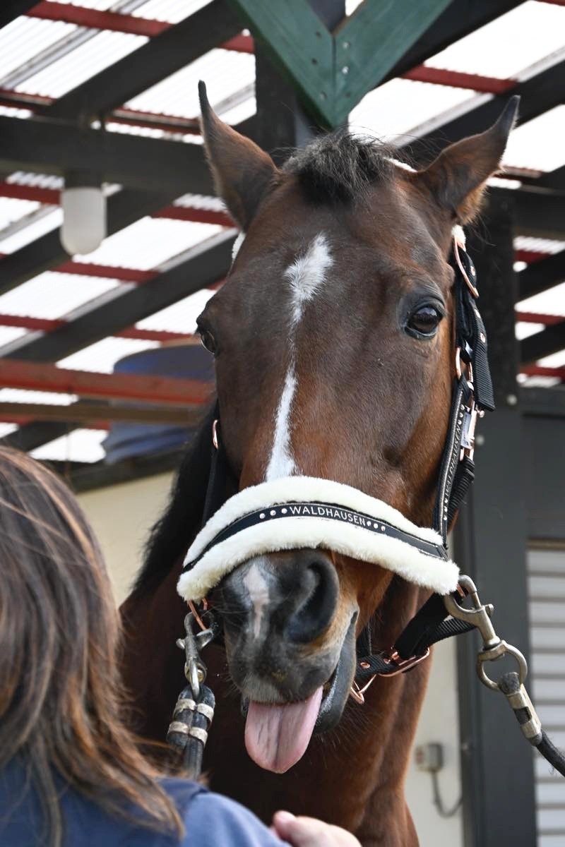 3ec1a8ed6abf8ef1b05b72dff37d29d0-1774748907.jpg 3ec1a8ed6abf8ef1b05b72dff37d29d0-1774748907.jpg