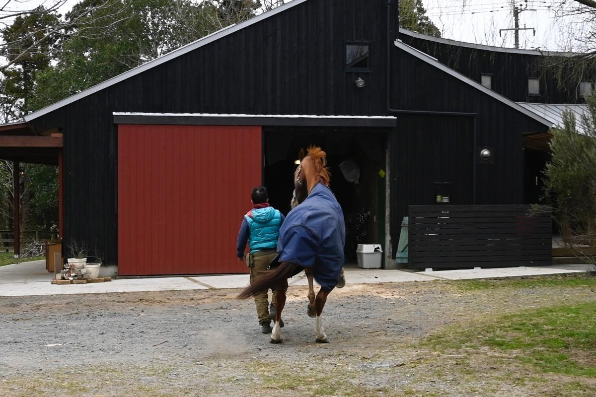 e2ebd46727955d0427979f1e4456d58b-1774698801.jpg e2ebd46727955d0427979f1e4456d58b-1774698801.jpg