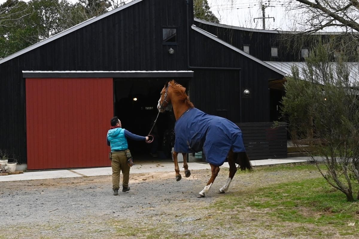 4a0c92022fe58abc8ed27a19ca93f1e6-1774698806.jpg 4a0c92022fe58abc8ed27a19ca93f1e6-1774698806.jpg