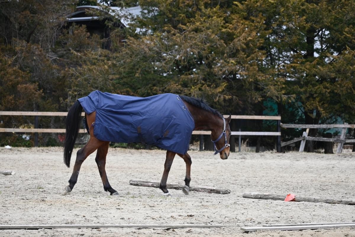 a47f70d2d9da7966a6418678deebfaf2-1774706095.jpg a47f70d2d9da7966a6418678deebfaf2-1774706095.jpg