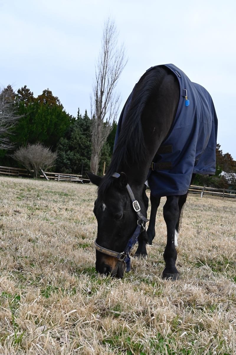 548015b09796bda906389ac673881ea2-1774706150.jpg 548015b09796bda906389ac673881ea2-1774706150.jpg