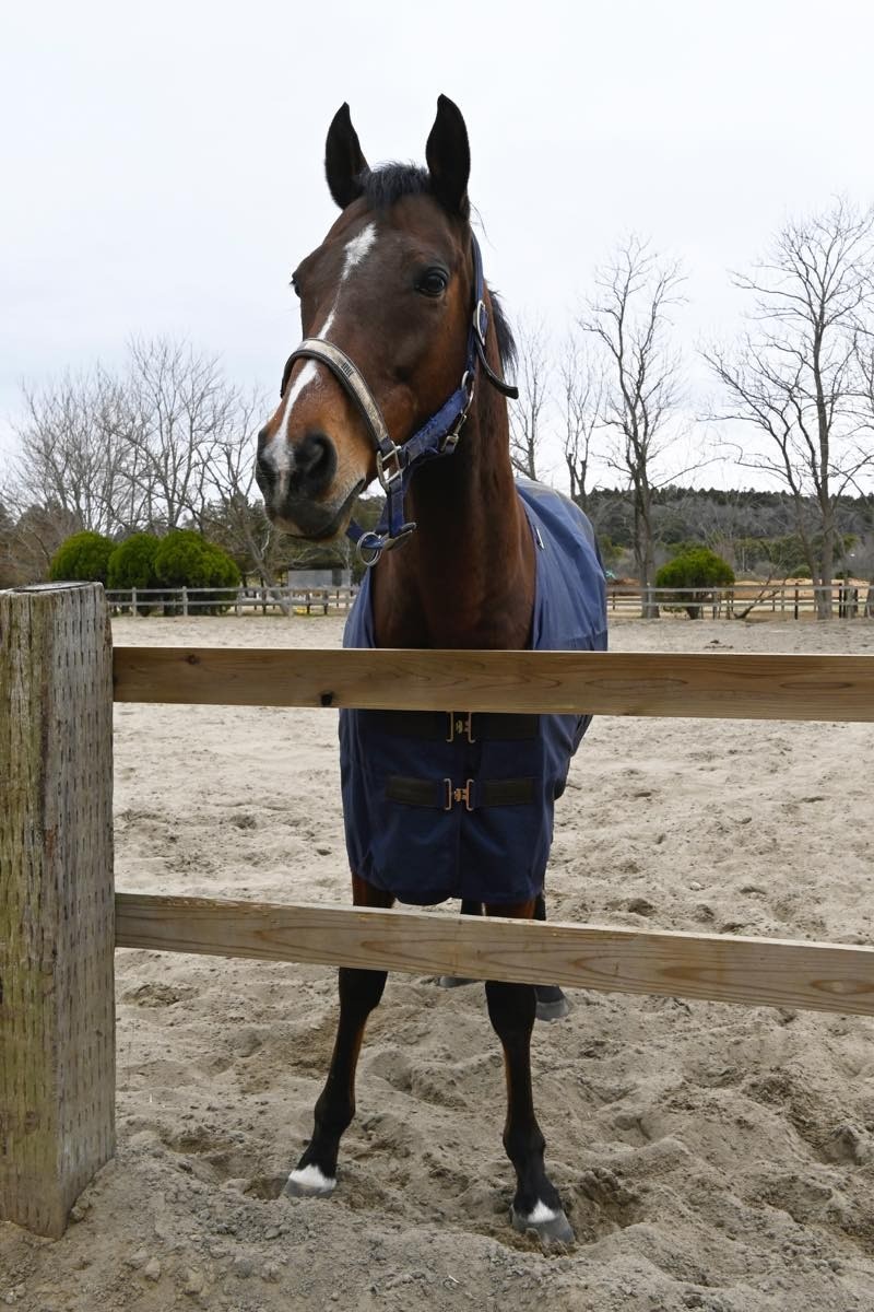 d34dce8638198334c8a9cf1a82180a53-1774706018.jpg d34dce8638198334c8a9cf1a82180a53-1774706018.jpg