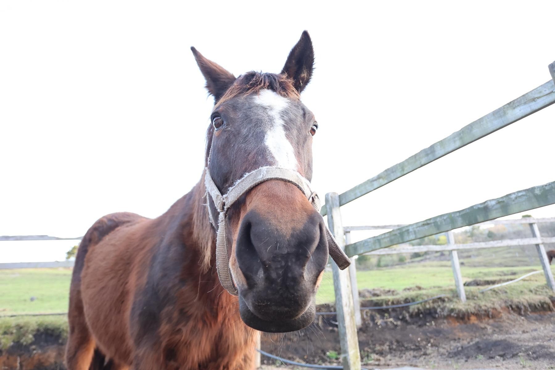 2307d9142755c50ee168b1f963bb1034-1773318770.jpg 2307d9142755c50ee168b1f963bb1034-1773318770.jpg