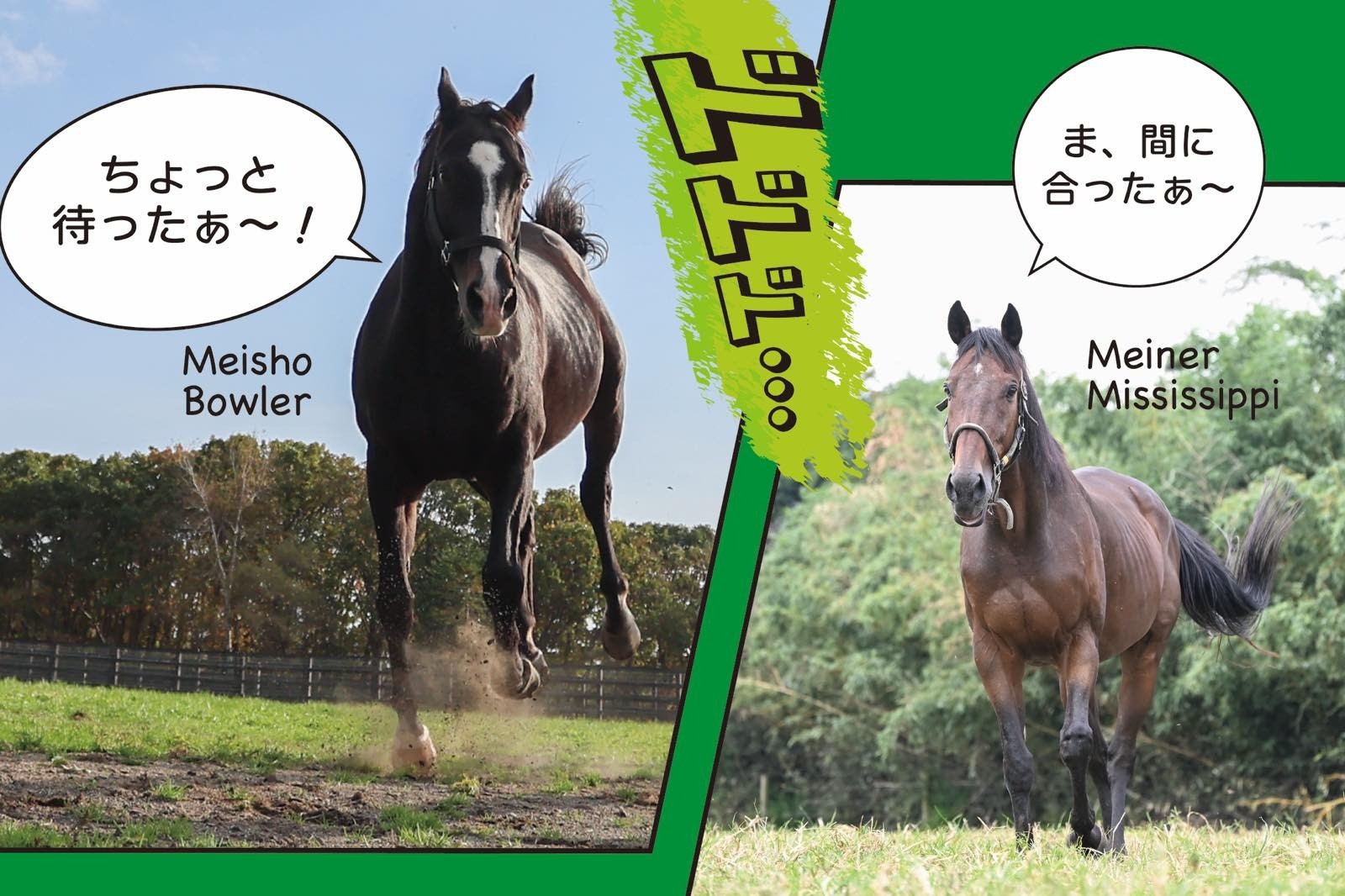 65bad2bcd9708a1f5d90d5ba68c8db6f-1776227702.jpg 65bad2bcd9708a1f5d90d5ba68c8db6f-1776227702.jpg