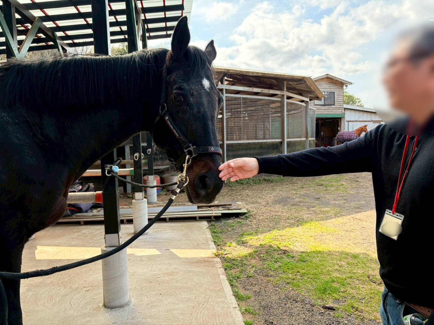 75b67339bb5a7e48d7c7d6b73cfc4494-1776049118.jpg 75b67339bb5a7e48d7c7d6b73cfc4494-1776049118.jpg