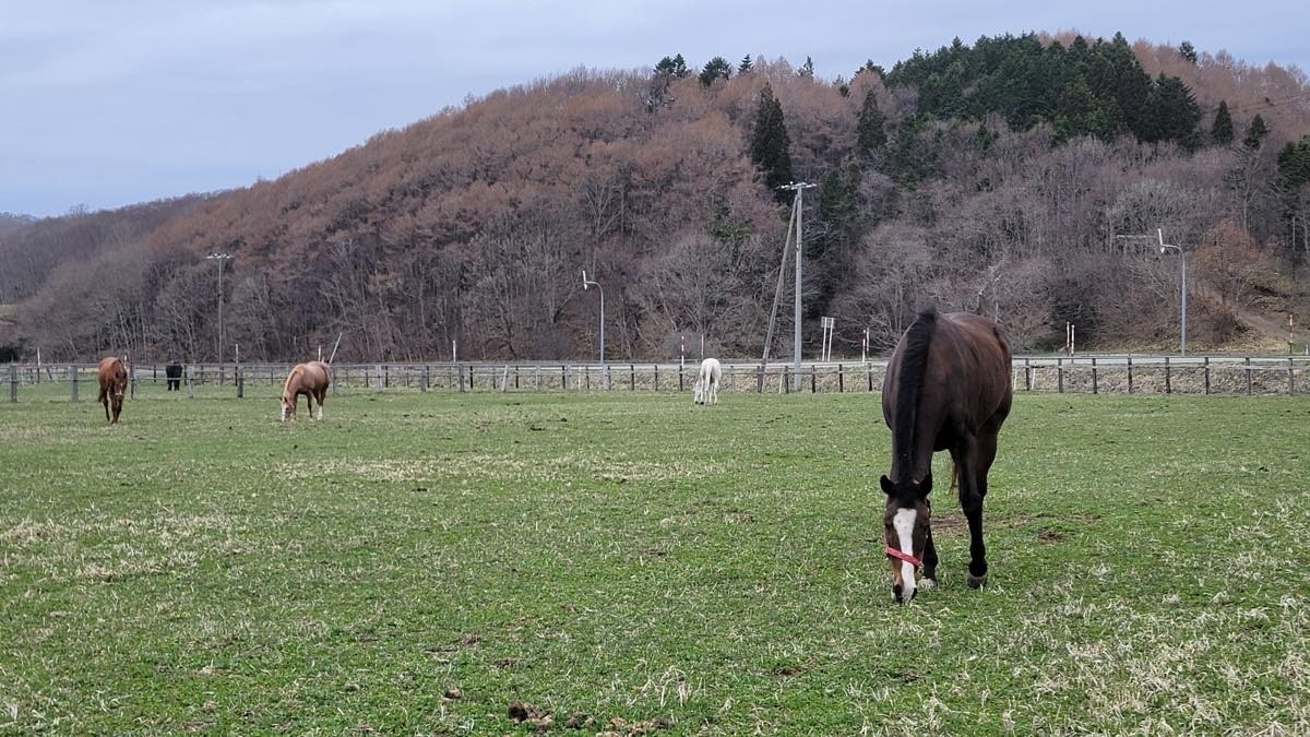 be6284c7e74001e6b9e1e687595e838f-1776211738.jpg be6284c7e74001e6b9e1e687595e838f-1776211738.jpg