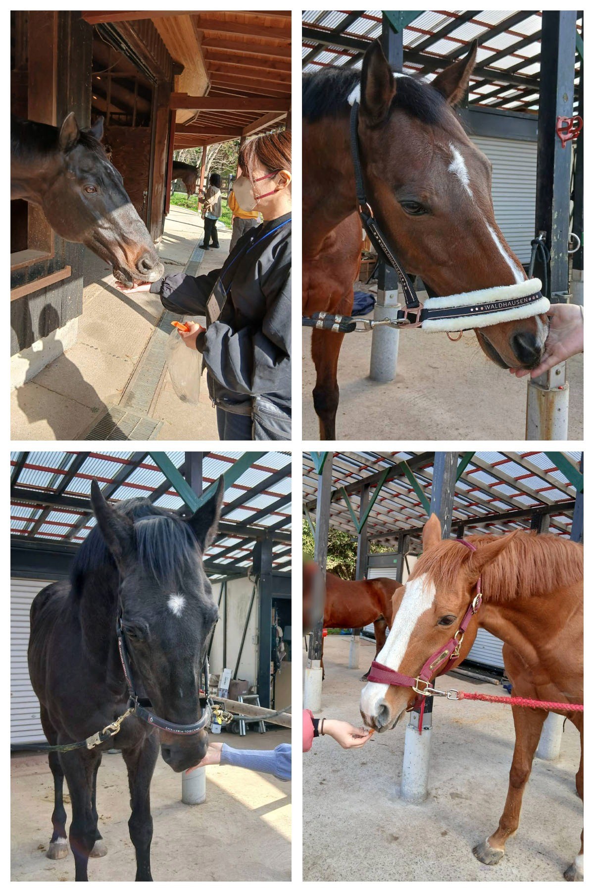 929c3fdd52594ebb74b7bf143d8691ae-1775716114.jpg 929c3fdd52594ebb74b7bf143d8691ae-1775716114.jpg