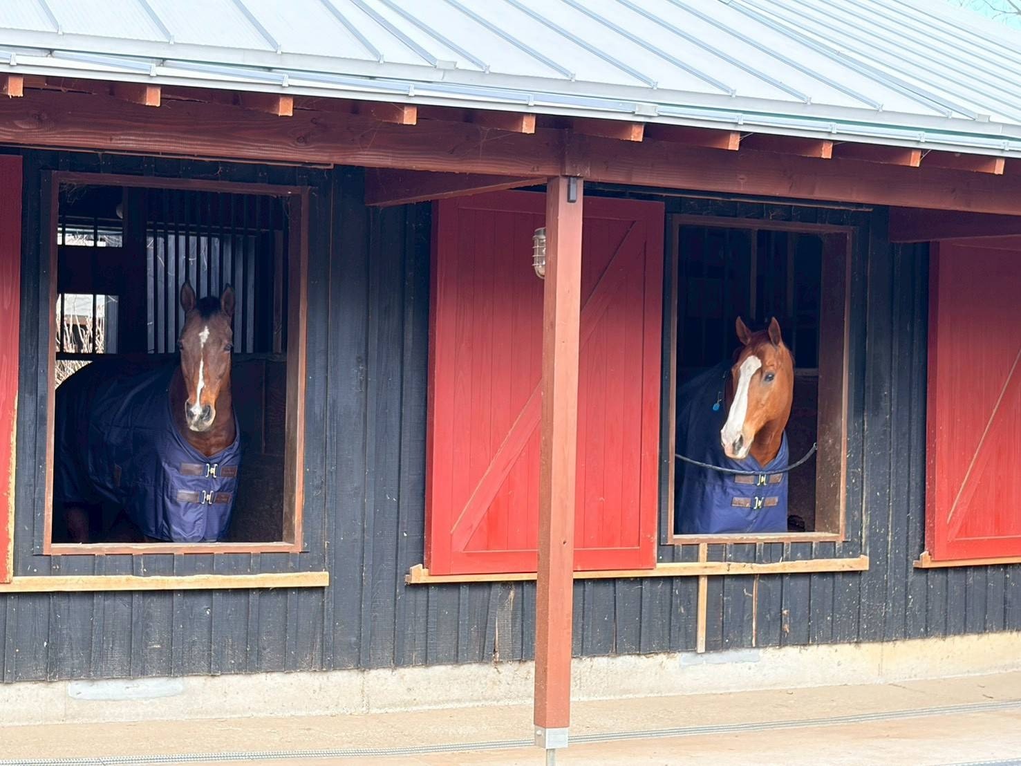 1023a106c1e1a6b1bc5761de9cd608ca-1775715784.jpg 1023a106c1e1a6b1bc5761de9cd608ca-1775715784.jpg